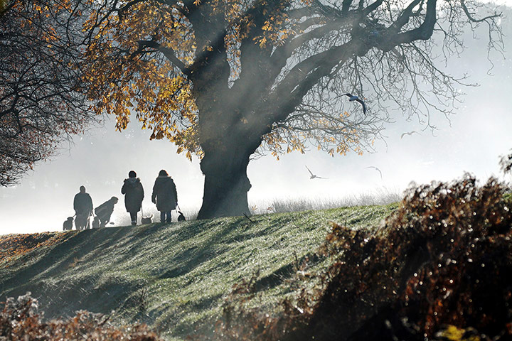 Woodland Trust : 2013 Woods & wildlfe photography competition