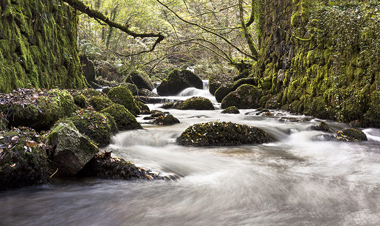 Woodland Trust : 2013 Woods & wildlfe photography competition