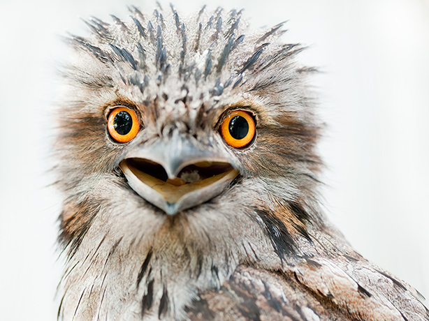 Nature photographer: Rosie