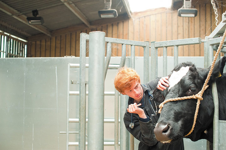 Employability Nottingham: Employability Nottingham : Practicals