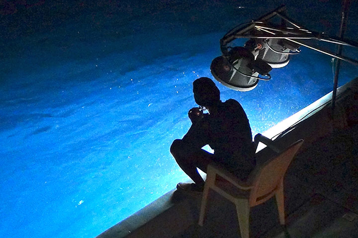 Pole line tuna fishing: fisherman waiting for bait