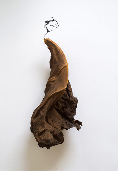 Fashion in leaves: Fashion in leaves