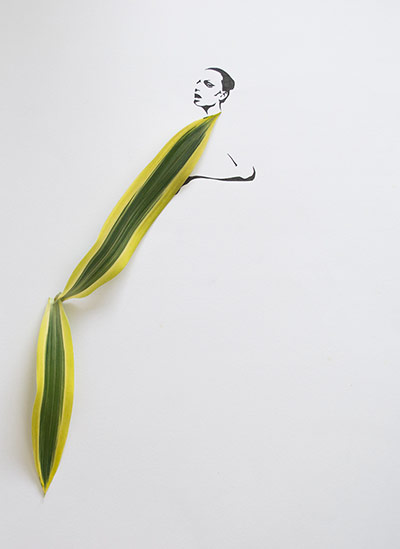 Fashion in leaves: Fashion in leaves