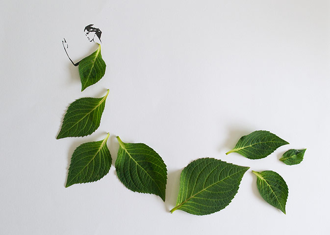 Fashion in leaves: Fashion in leaves