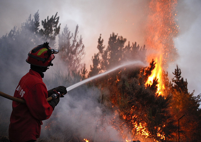 Wildfires in Portugal: Wildfires in Caramulo, Portugal - 29 Aug 2013