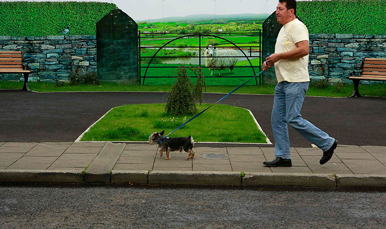 Artworks cover buildings: Man walks his dog past a hoarding