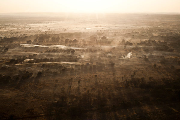 Reforestation in Zambia: Zambia has seen rampant deforestation in recent decades