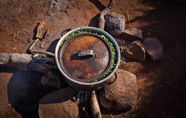 A charcoal stove outside a house in Livingstone