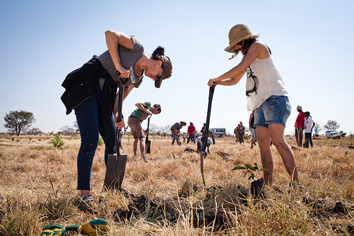 Reforestation in Zambia: Trees for Zambia is entirely self funded