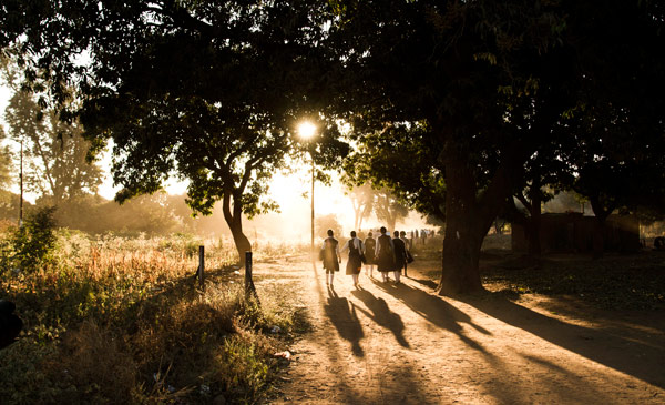 Reforestation in Zambia: fight deforestation needs support by all