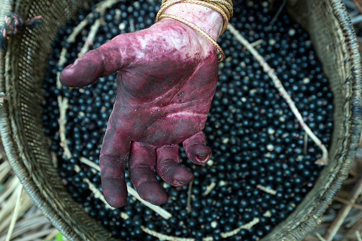 Alex Atala: Threshes