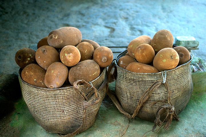 Alex Atala: Amazon fruit - Cupua 