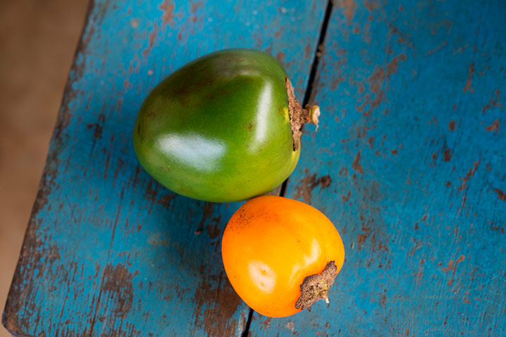 Alex Atala: Baniwa food - Cubio