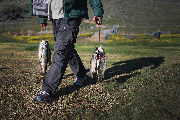 Greenland: Greenland:  A Laboratory For The Symptoms Of Global Warming