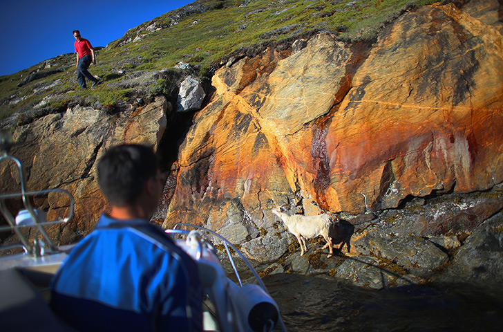 Greenland: Greenland:  A Laboratory For The Symptoms Of Global Warming