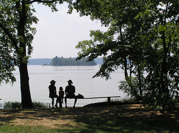 Weekend reader's: your pictures - shade