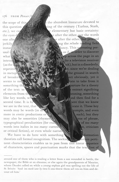 Exhibitionsist 10/08: Learn to Read Differently