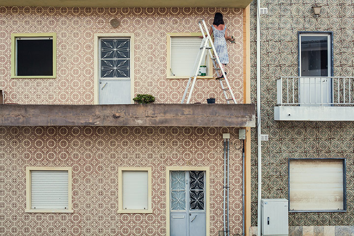 The Pigs: Cachopo, Algarve, Portugal