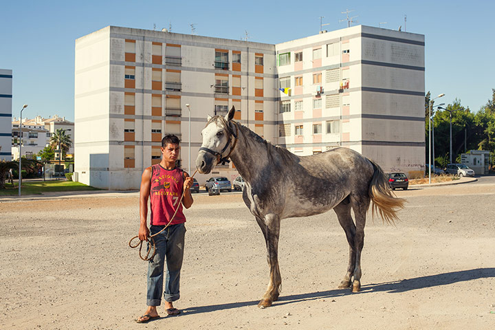 The Pigs: Portimao, Portugal