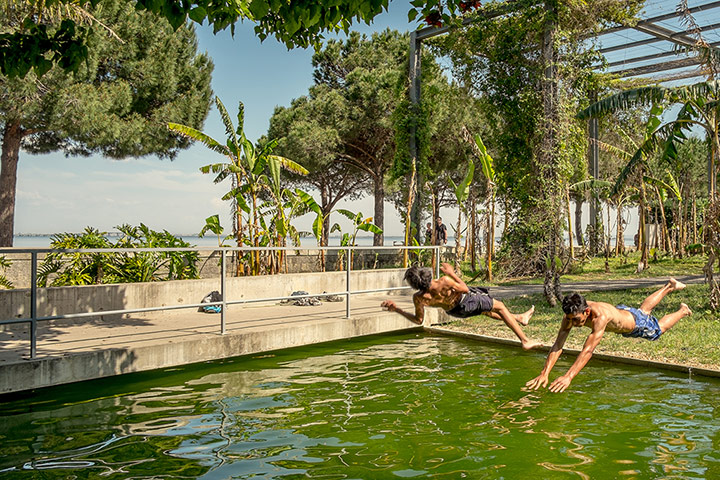 The Pigs: Lisbon, Portugal