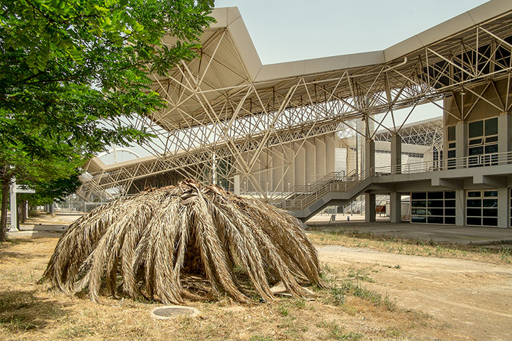 The Pigs: Athens, Greece