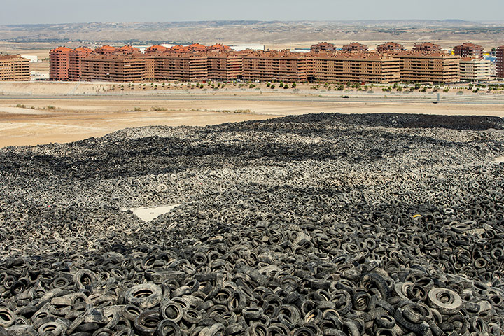 The Pigs: SESEÑA, Spain