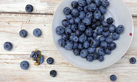 gfy-blueberries