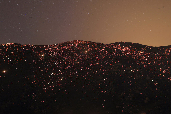 20 Photos: A smouldering mountainside is seen under the stars at the Silver Fire