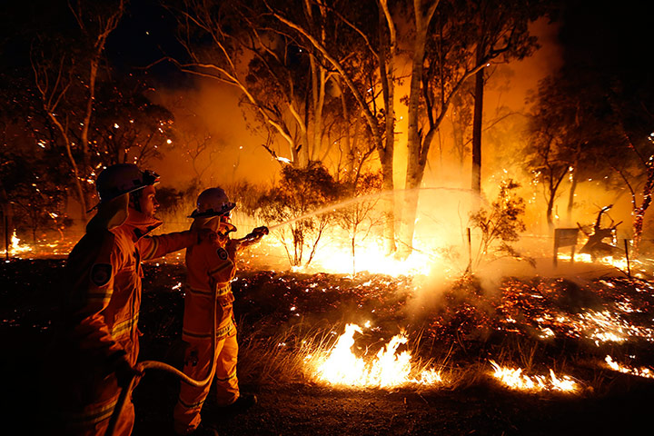 Australia wildfires: Firefighters attempt to extinguish a bushfire