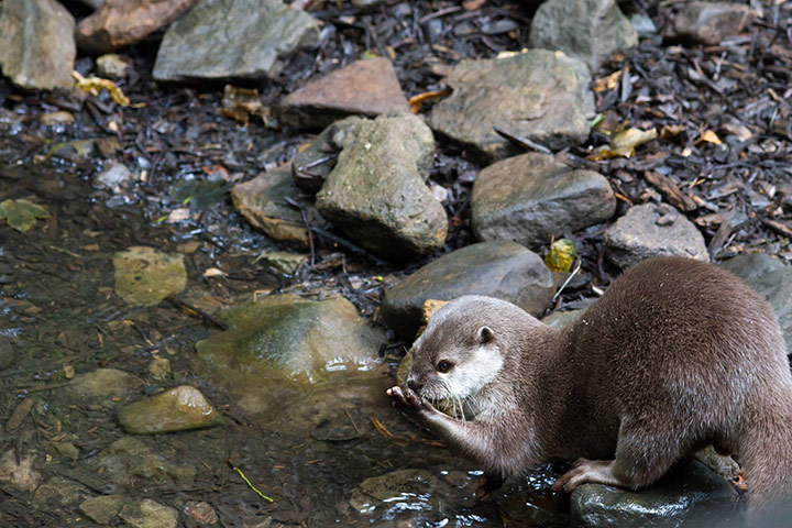 Green Shoots: August 2013