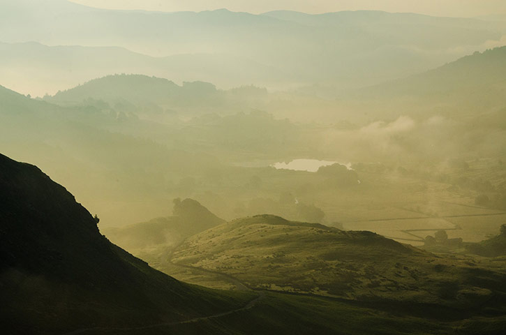 Green Shoots: August 2013