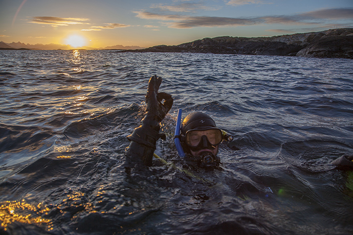 Urchins:  in water that averages 2C