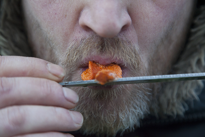 Urchins: Eating urchin