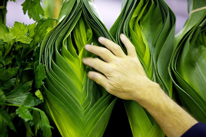 Nat Veg Champs: Judging the Six Veg collection