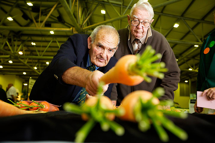 Nat Veg Champs: Judging at the National Vegetable Championships