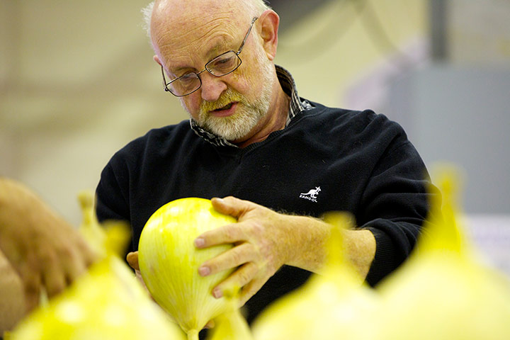 Nat Veg Champs: Derek Bath judging the onions