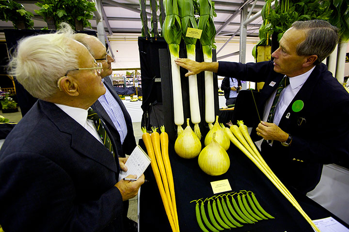 Nat Veg Champs: Peter Morris and David Allison judging the Six Veg Collection