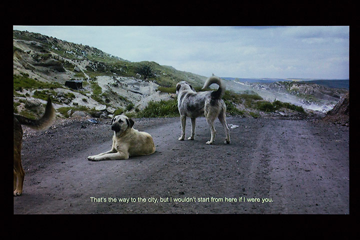 Istanbul Biennial: I am the dog that was always here, 2013 by Annika Eriksson