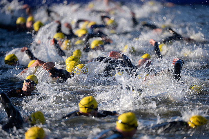 World Triathlon Final: World Triathlon Grand Final