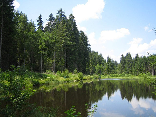 Alternative Germany: titisee lakeside resort