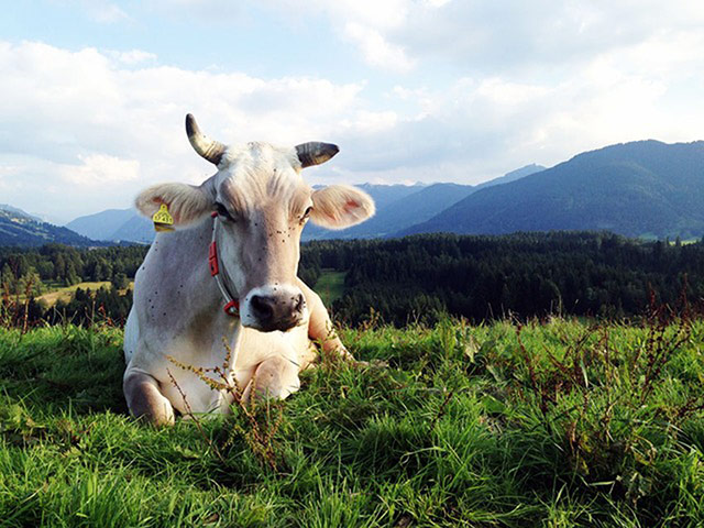 Alternative Germany: bavarian beauty