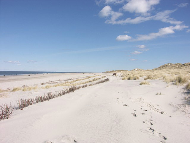 Alternative Germany: amrum beach