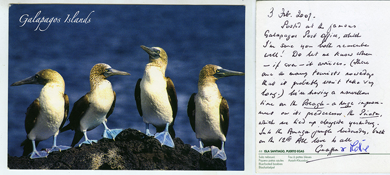 Galapagos postcards : Postcard to an address in London, SW6