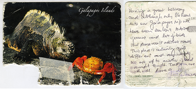 Galapagos postcards : A postcard to Stroud