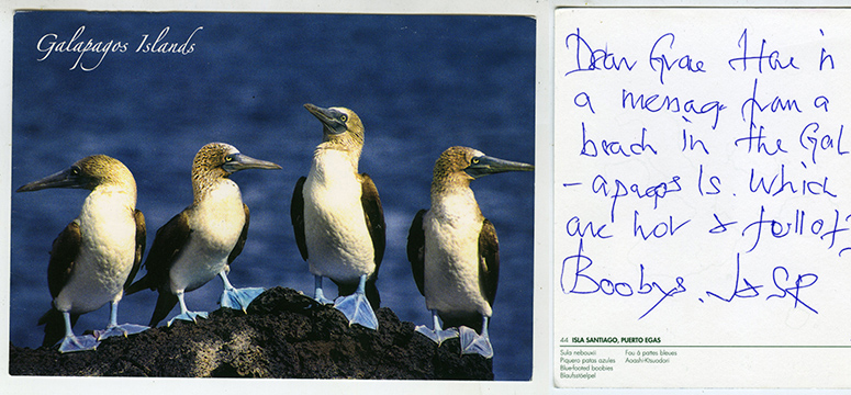 Galapagos postcards : A postcard to Morpeth
