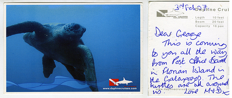 Galapagos postcards : A postcard to Millford, Surrey