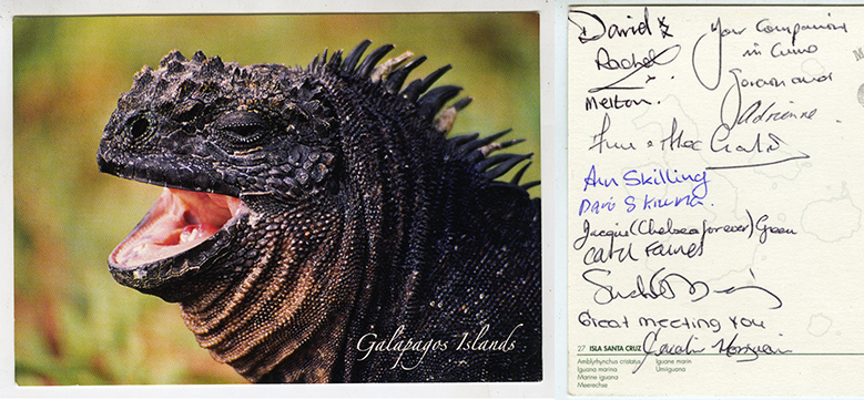 Galapagos postcards : A postcard to Blanefield in Glasgow