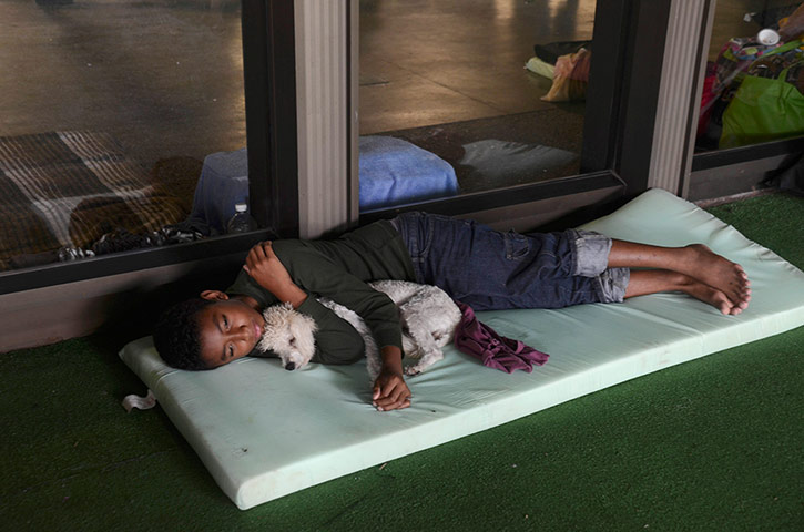 mexico floods: A child lies with his dog at a shelter