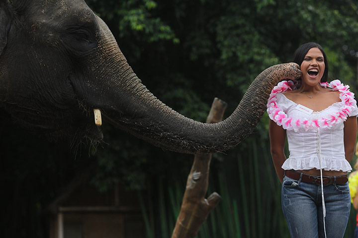 A Lighter Look: Elephant and Miss World contestant