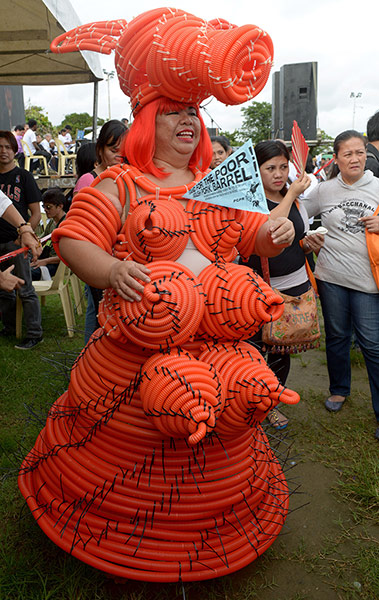 A Lighter Look: A protester wearing a pig costume 